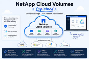 NetApp Cloud Volumes Explained