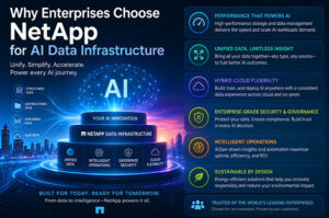 Why Enterprises Choose NetApp