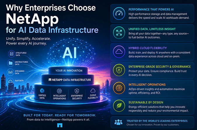 Why Enterprises Choose NetApp